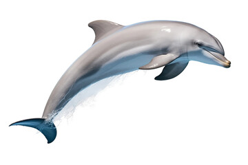 Elegant Dolphin Jumping Out of the Sea -on transparent background