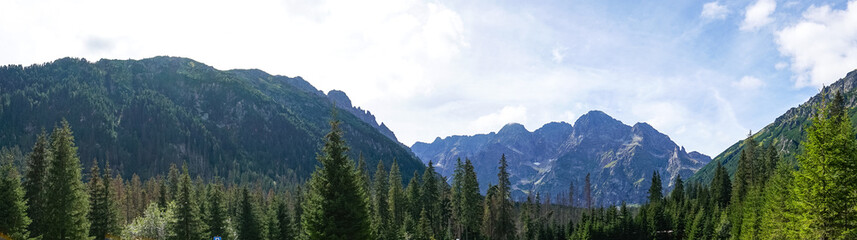 Obraz premium mountain view forest landscape Poland Zakopane