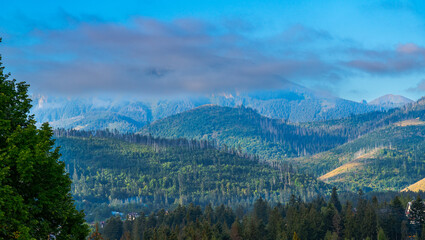 mountain view forest landscape Poland Zakopane © Андрей Трубицын