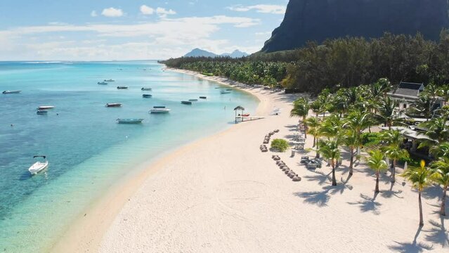 Luxury beach in Mauritius. Sandy beach with palms, horses and blue ocean. Aerial view