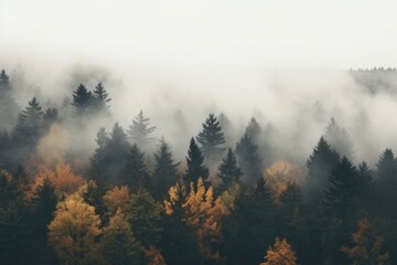 Foggy mountain with Autumn foliage landscape.