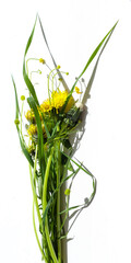 a bouquet of summer wildflowers on a white background