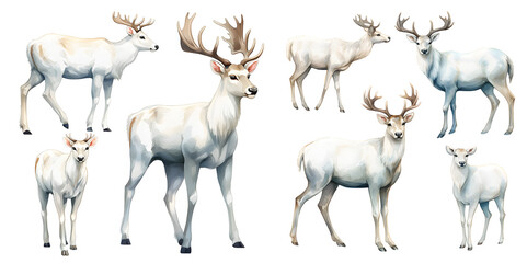 white reindeer watercolor illustration clipart. Generative AI - obrazy, fototapety, plakaty