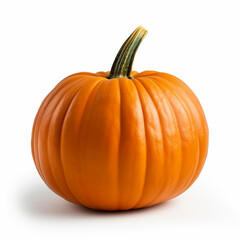Pumpkin isolate on white background