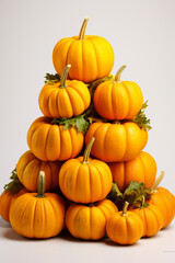 A collection of various types of pumpkins. Autumn arrangement and harvested.