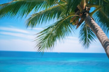 Beautiful palm tree leaves and blue sea. Minimalism. Summer tropical vacation concept.