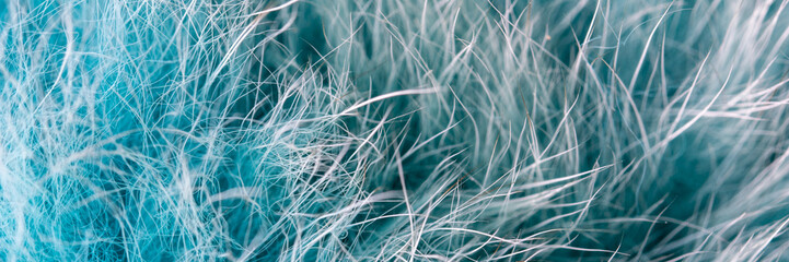 Obraz premium Wool texture close-up. Macro photo