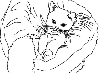 Animal - Pet - Adorable cat illustration