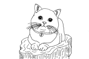 Animal - Pet - Adorable cat illustration