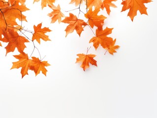 Naklejka na ściany i meble Isolated image of Autumn leaf on a white background. Autumn seasonal concept.