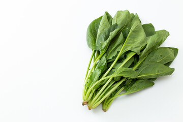 白背景にホウレンソウ