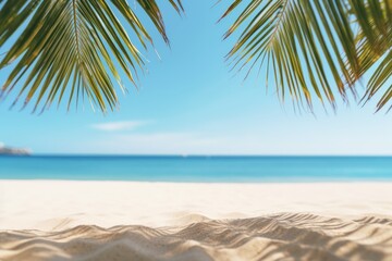 Fototapeta na wymiar Beautiful palm tree leaves and blue sea. Minimalism. Summer tropical vacation concept.