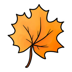 Autumn leaf isolated on white background