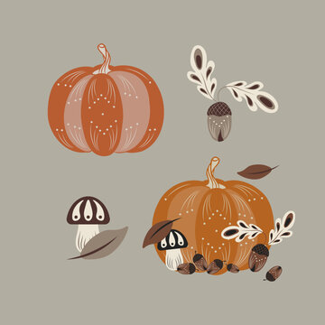 Vector illustration of autumn pumpkin, mushroom and acorn. This fall plant composition is perfect for Thanksgiving Day decor, invitation or greeting card