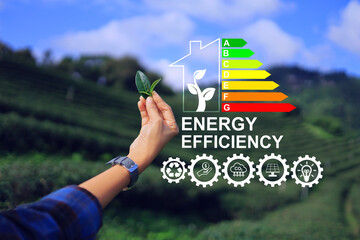Home energy saving label and hand holding green leaf to encourage electric power save by energy...