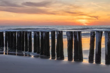Fototapeten A row of wooden poles on the beach of Schoorl aan Zee, beautifully illuminated by the setting sun. © Bram