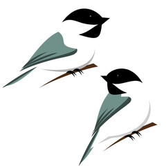 set of birds © Painted Pixels