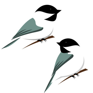 set of birds