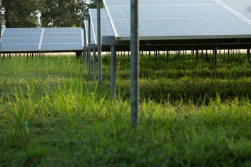 Low angle view of solar panels overlooking dense green grass.