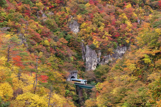 Scenery of train coming out from tunnel on bridge during autumn season in Naruko gorge, Miyagi Prefecture, Japan