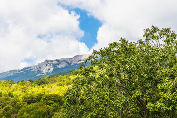 Mysterious mountain landscape of the Valley of Ghosts on the western slope of Mount Demerdzhi in Crimea. Popular tourism and trekking destination