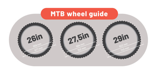 Vector infographic showing types of MTB wheel sizes. Isolated on white background