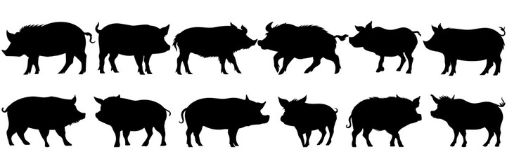 Pig farm animal silhouettes set, large pack of vector silhouette design, isolated white background.