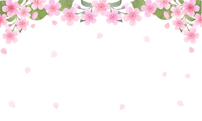 Obraz na płótnie Canvas 桜の水彩風な桜吹雪フレームイラスト(文字なし)
