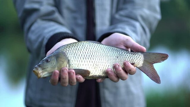 fisherman holding carp with both hands outdoors.