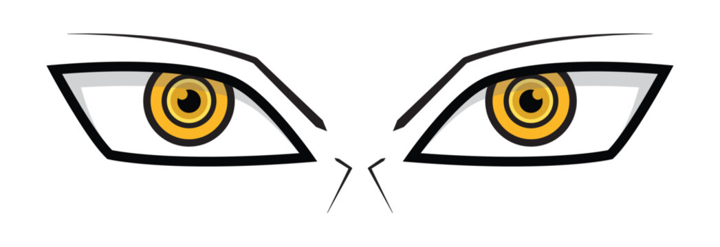 Hawk eyes icon. Eagle eyes symbol, vector illustration
