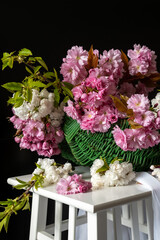 Spring bouquet of cherry tree branches. Cherry blossoms.