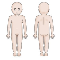 小児男児全身シェーマ図　顔有り　カラー