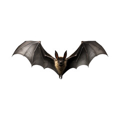Vampire bat isolated on white transparent background. Created with generative AI