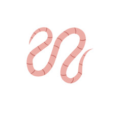 
Pinworm Vector