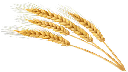 Transparent Wheat Ear Icon for Design Projects