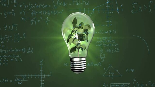 Animation of light bulb with plant and mathematical data processing