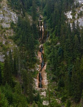 Vertical shot of the Cascada Cailor surrounded by greenery in Romania