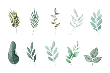 Set of watercolor vector set of fall branches isolated on a white background.