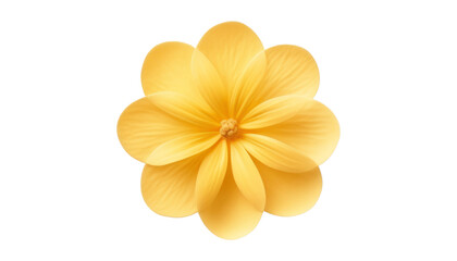 yellow flower isolated on transparent background cutout - Powered by Adobe