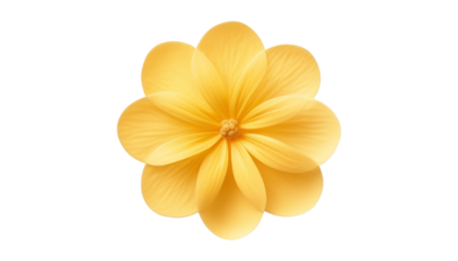 yellow flower isolated on transparent background cutout