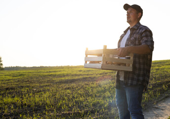 A farmer in the field against the backdrop of the sunset holds a box of potatoes. Place to insert...