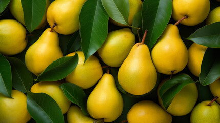 A group of yellow pears with green leaves - fruit background wallpaper