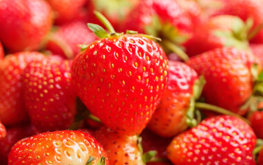 Fresh organic red strawberry fruit background