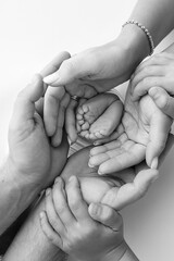 Legs, toes, feet and heels of a newborn. With the hands of parents, father, mother gently holds the child's legs. Macro photography, close-up. Black and white photo. 