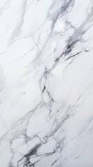 Fototapeta na wymiar panoramic white background from marble stone