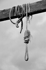 Vertical grayscale shot of a rope noose hanging on a wooden fence