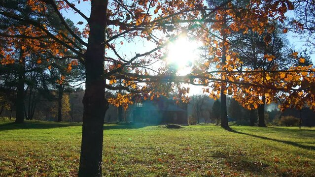 Sunny day in late autumn