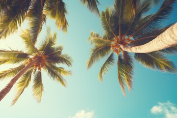 Fototapeta na wymiar Blue sky and palm trees view from below, vintage style, tropical beach and summer background, travel concept.