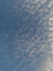 ciekawe w kształcie chmury na niebie - obrazy, fototapety, plakaty