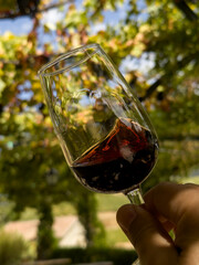 wzburzone czerwone wino w kieliszku podczas degustacji w winnicy